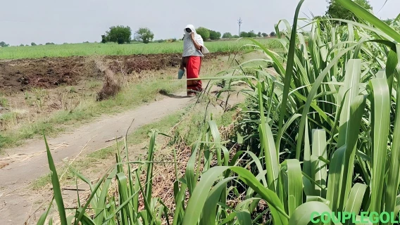 She Was Openly Washing Her Pussy In The Sugarcane Field